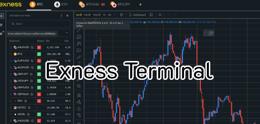Exness Terminal คืออะไร? คู่มือการใช้งานแพลตฟอร์มเทรดผ่านเว็บสำหรับเทรดเดอร์ Exness
